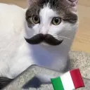 alylolo
