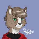 puma_lil_leek