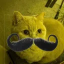 mistersusan3693