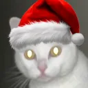 keenekeenekeene avatar