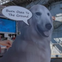 Discord Avatar