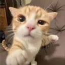 dowzeyy