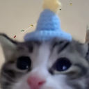 avatar 𓆩𝘕𝘰𝘷𝘢𓆪