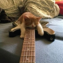 avatar 𓆩𝘕𝘰𝘷𝘢𓆪