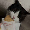 avatar 𓆩𝘕𝘰𝘷𝘢𓆪