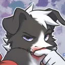 tkdoggo