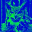 unofficial_owl