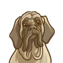 joejqd