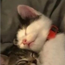 avatar ✈ ᴀɪɴʜᴏᴋᴇɴʜᴇᴀʀᴛ ✈