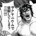 hasumi398