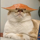 Dah_kosmic