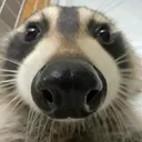 xkubikx