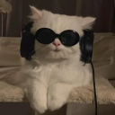 PedroLux11