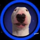 beepbop317