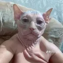 lulu.7221