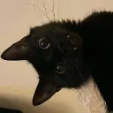 luniposa