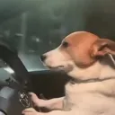 mfmfgaupon_10938