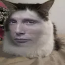 neapolito