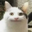optixwolf