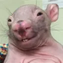 daeinkord