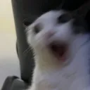 lordexcalibur_