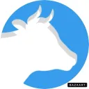 kiinar avatar