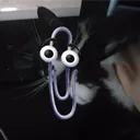 .kynzo