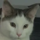 stretchisdaddy