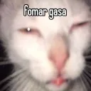 hugois666