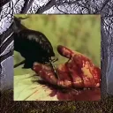 remorsings
