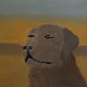 doggo4169
