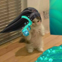 avatar Krzychu
