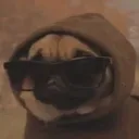 lechienspooky