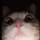 nightz_z