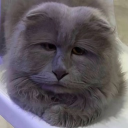 CT-0505 ''Atlas Twinkleton''