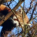 avatar 🎸Solar🎸