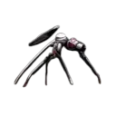 salvoorb