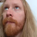 domesticdude