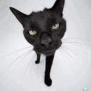 avatar Jarl Thunder G-Fuel