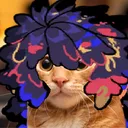 sircroakster