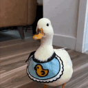 avatar Duck1e
