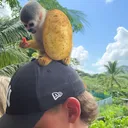 patato21_.