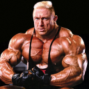 avatar Musclemanbigbiceps