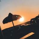 .shadowpenguin