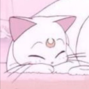 avatar ¯\_(ツ)_/¯