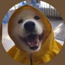 scoutybear