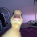 ȠȉǨȮ