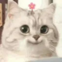 cutieeekelsss07