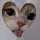 1monaa