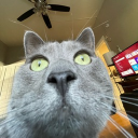Discord Avatar